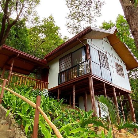 Ced Garden Hotell El Nido Exteriör bild