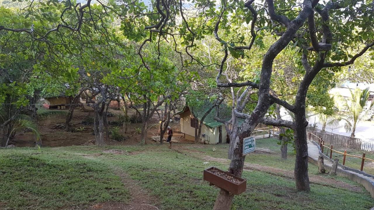 Ced Garden Hotell El Nido Exteriör bild